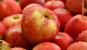 Manzana - Fruit Alliance