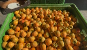 Kaki - Fruit Alliance