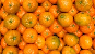 Mandarina - MNuts